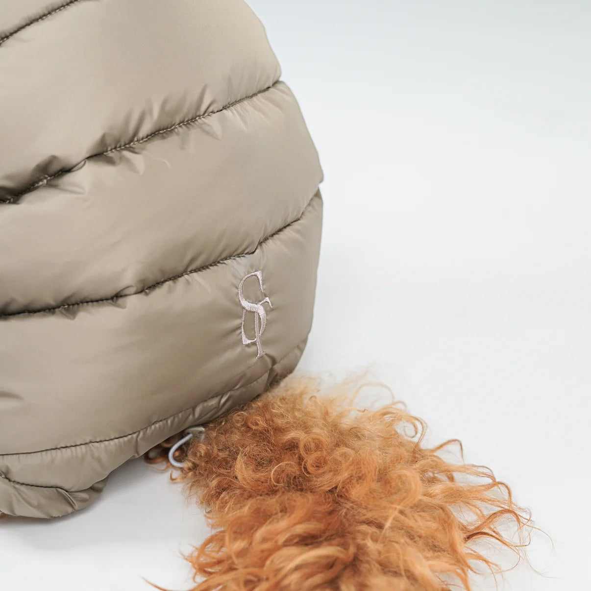 Nora hondenjas | Natuur