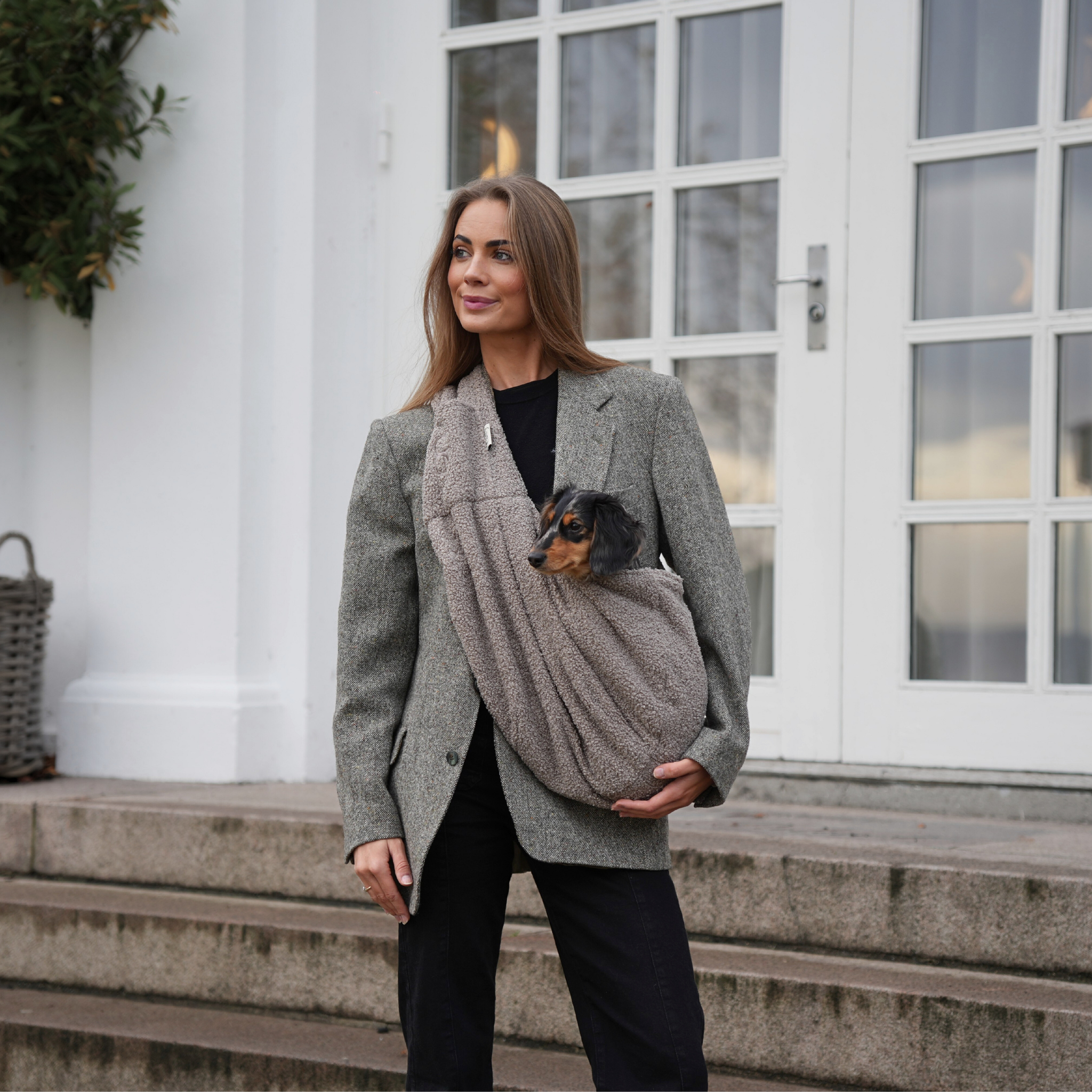 Ava Puppy Carrier | Teddy