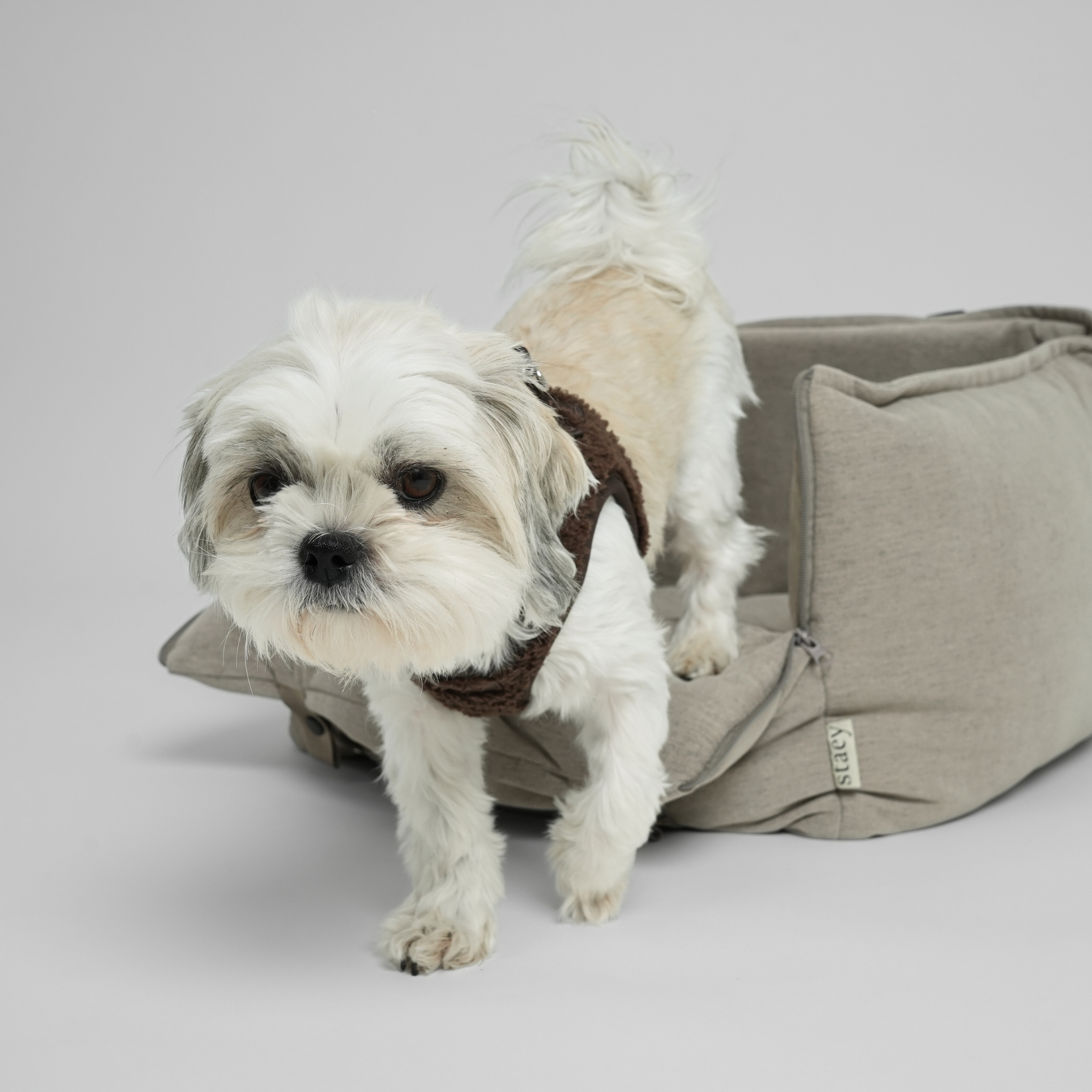 Fenja 2-in-1 Car Seat | Dune