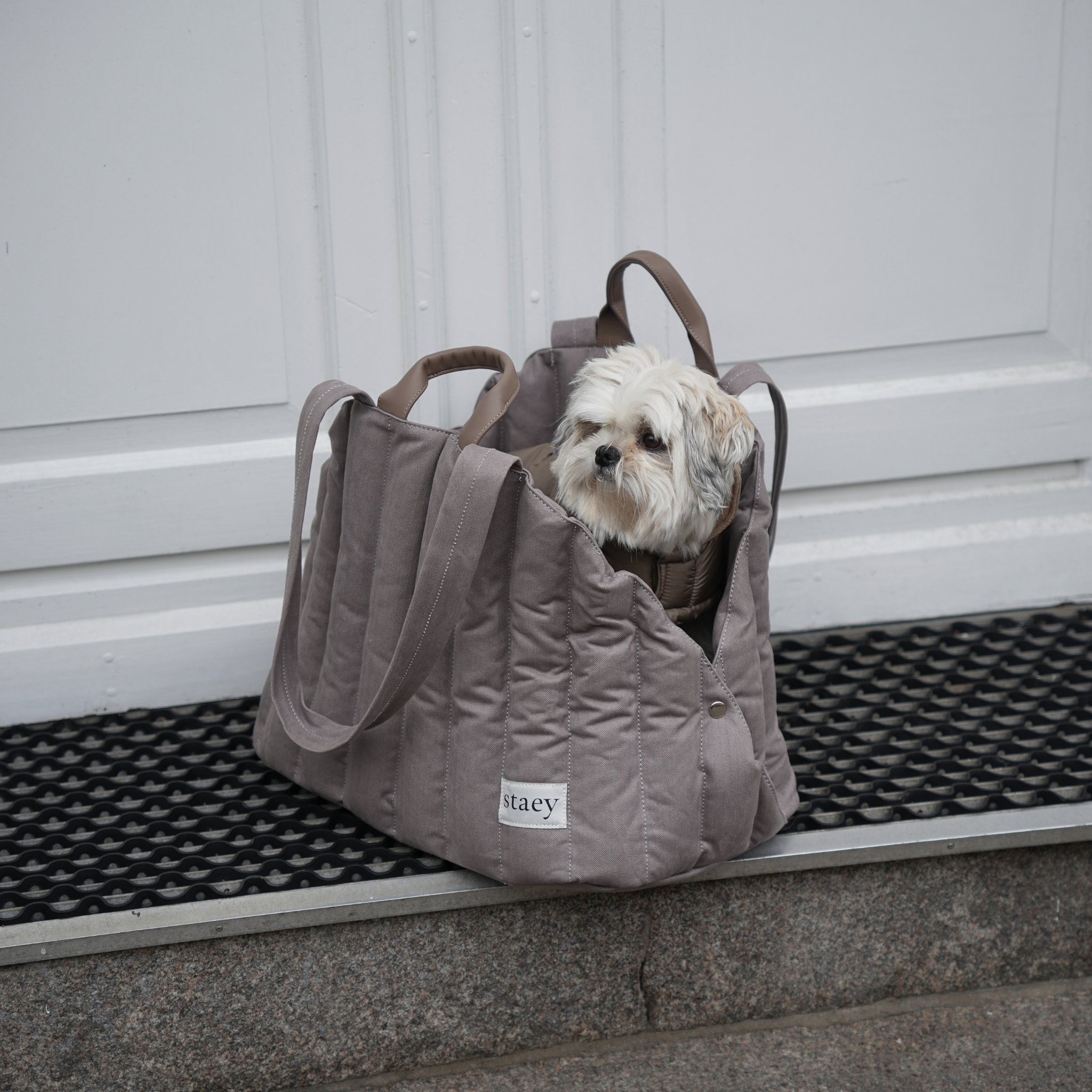 Elva hondendraagtas | Taupe