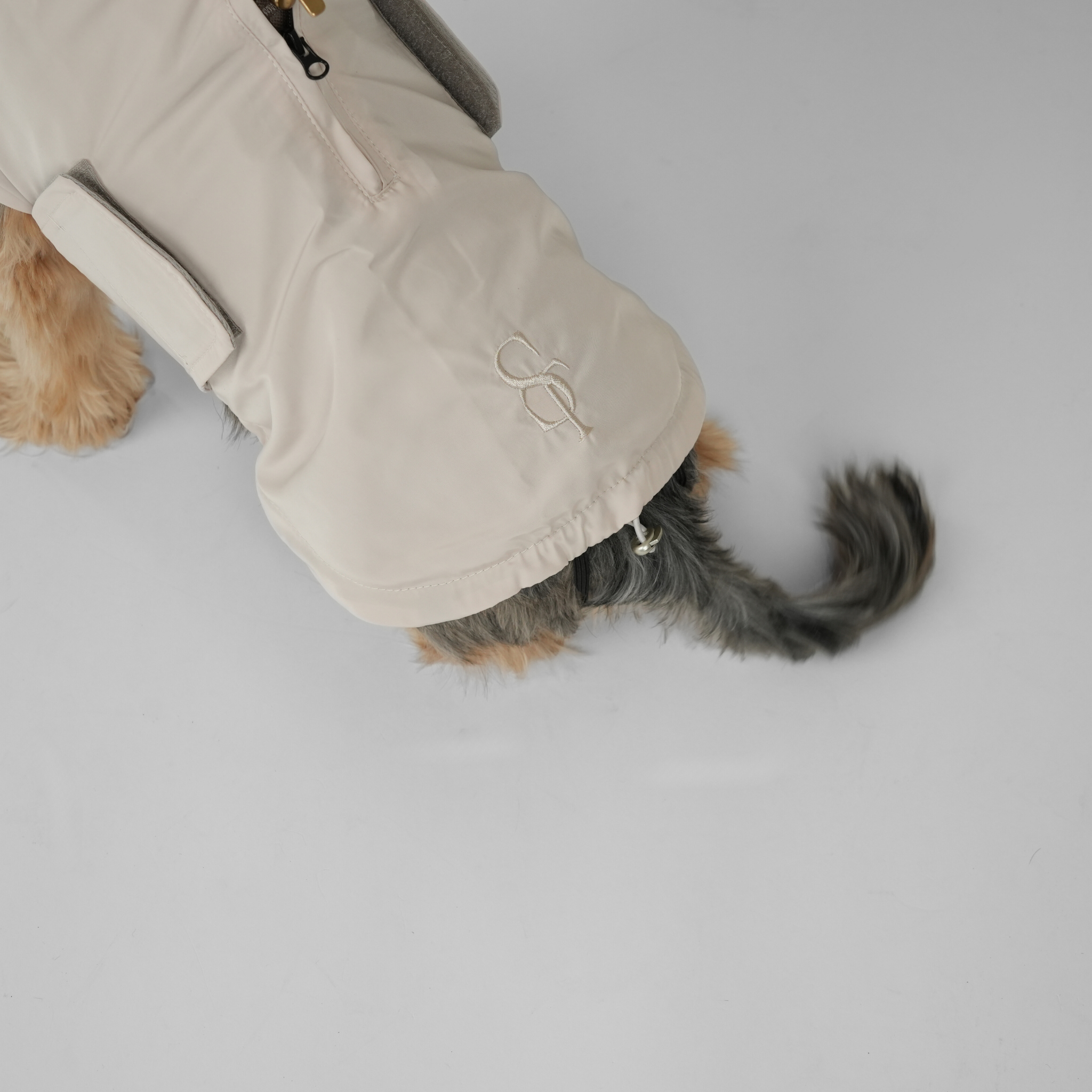 Vega hondenregenjas | Natuur