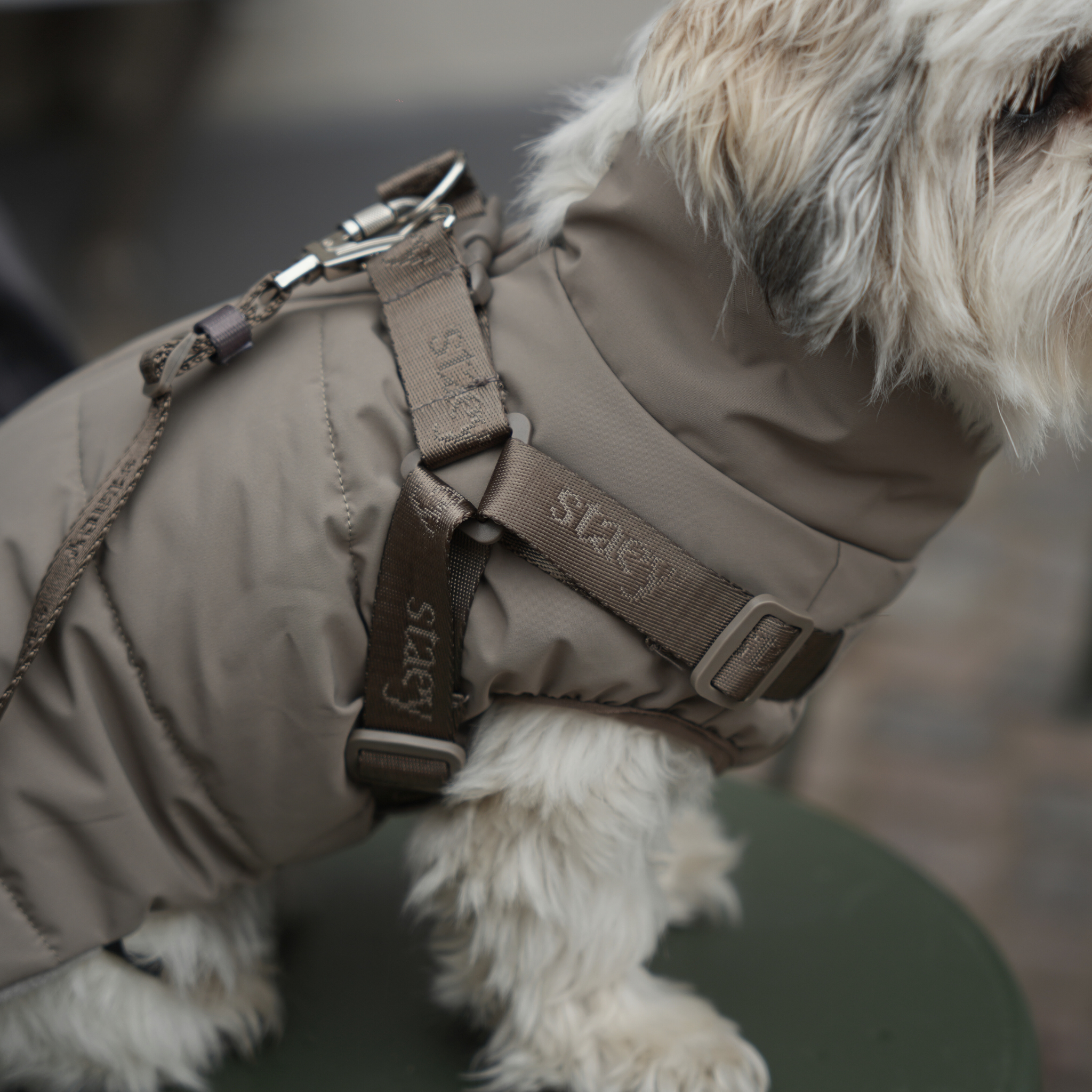Vera Dog Coat w. Harness | Sage