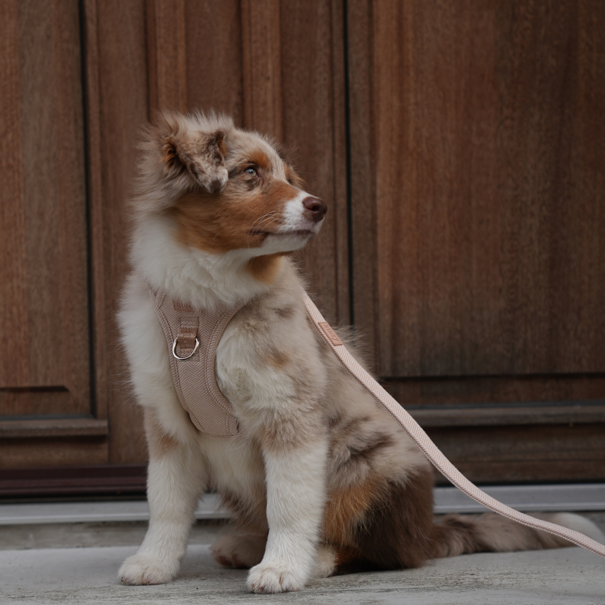 Elma Dog Harness | Light Rose