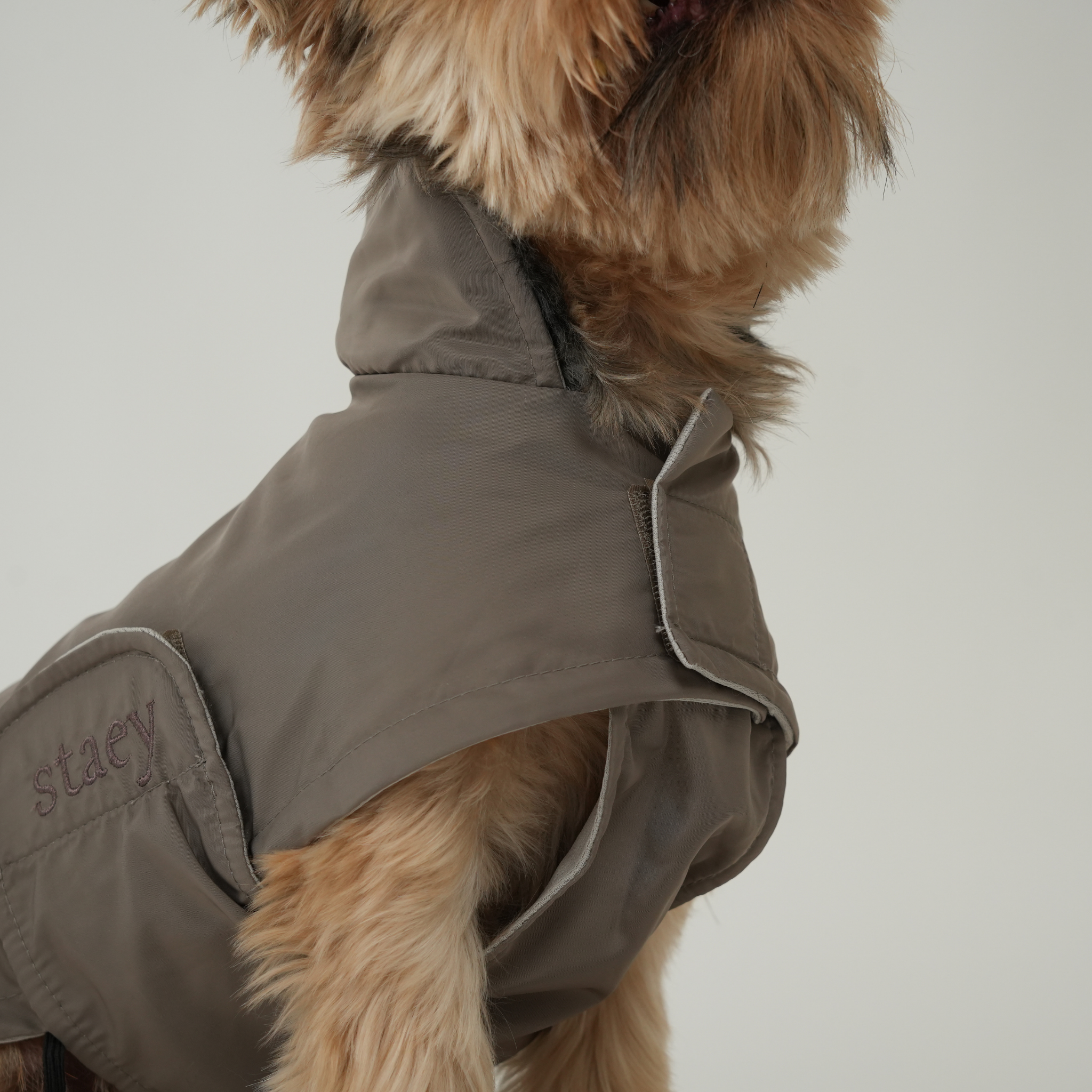 Vega Dog Raincoat | Taupe