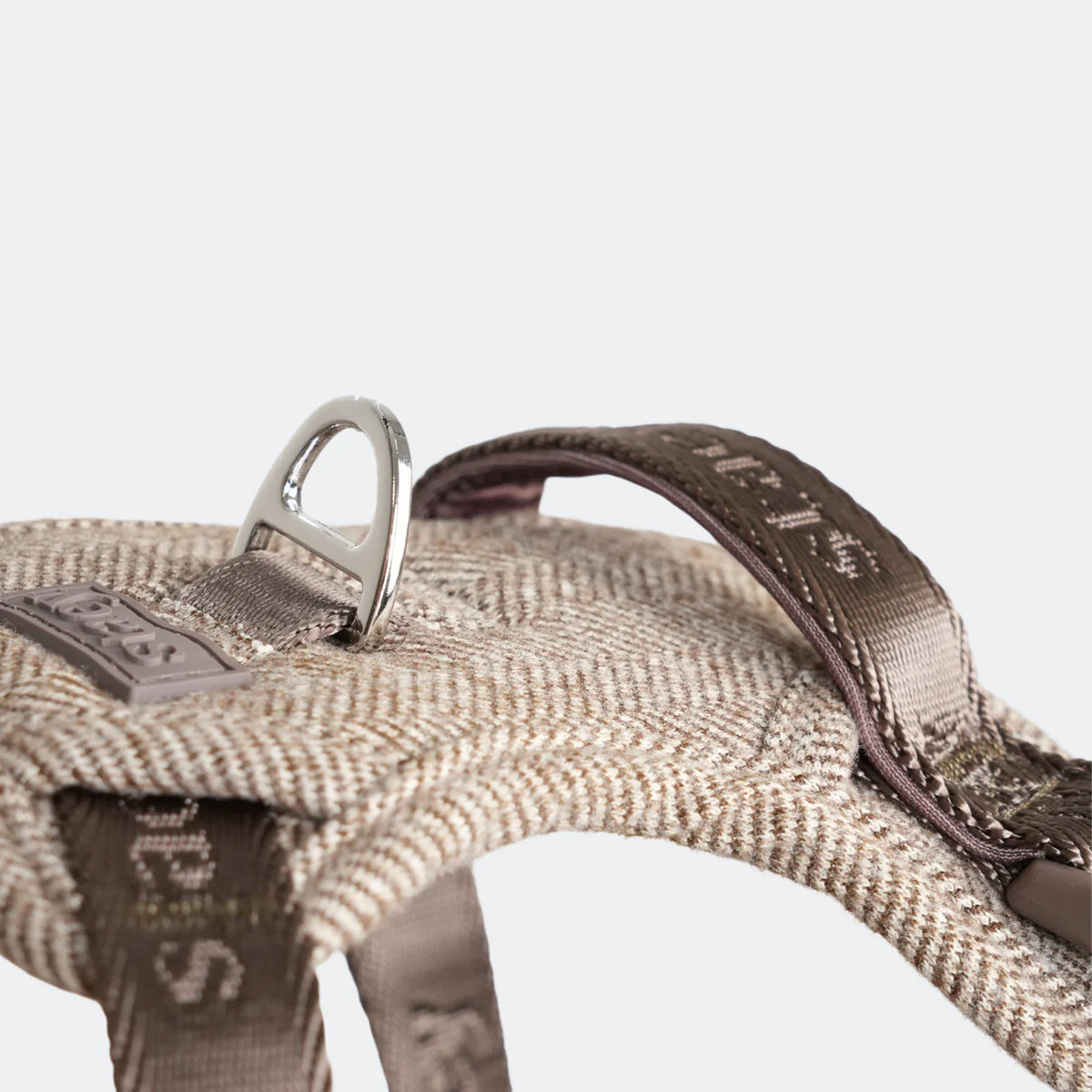Close-up of the D-ring and Staey webbing on the mocca Saga harness
