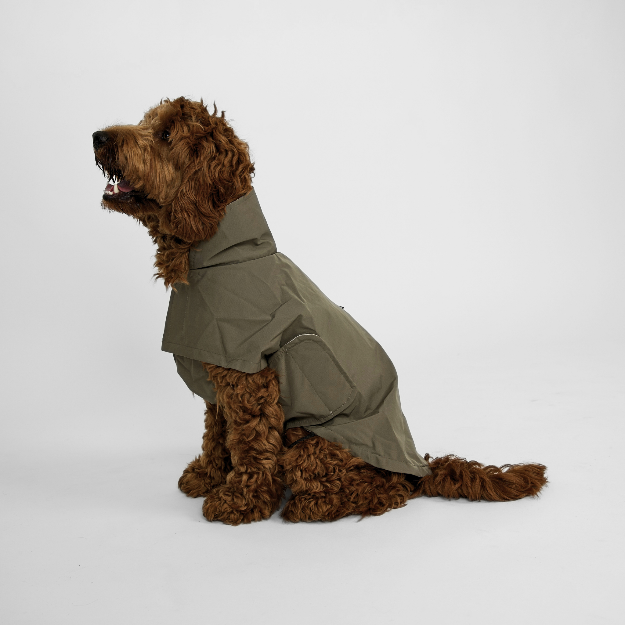 Taja hondenjas | Moss green
