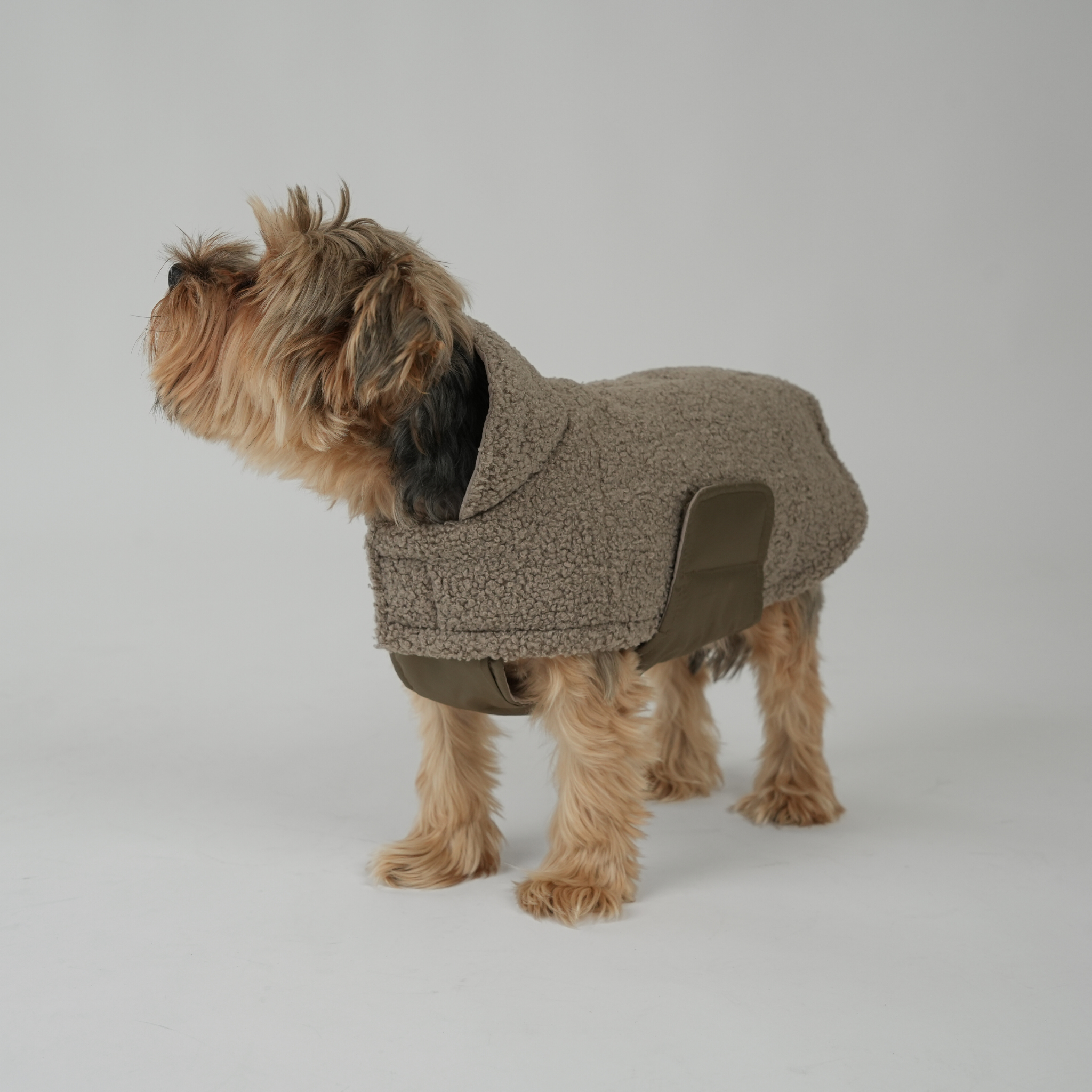 Teddy Dog Coat | Taupe