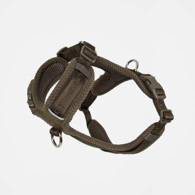 Numa dog harness in dark oak with braided rope trim, seen at an angle