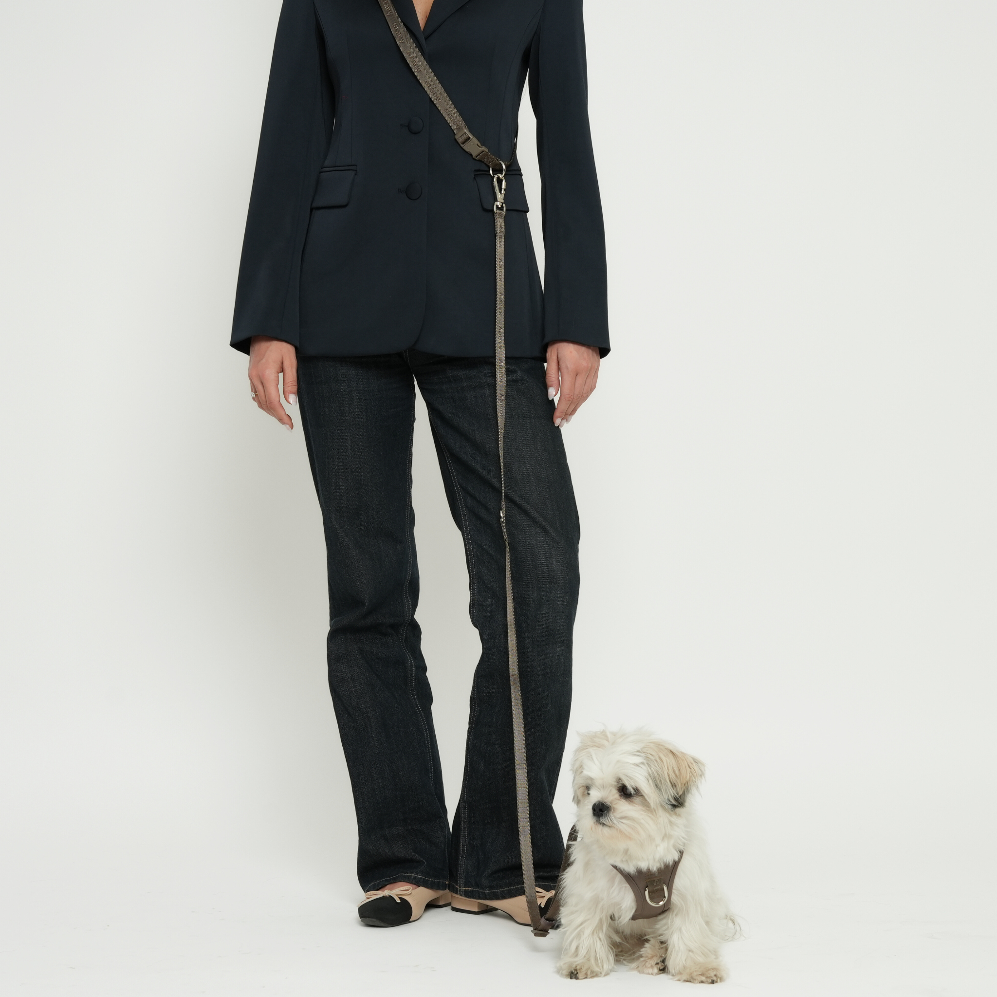 Hands-Free Dog Leash – Taupe