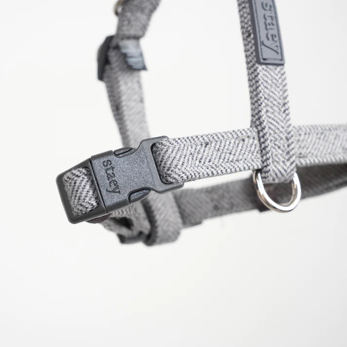 Tara H-Strap Dog Harness | Dusty Blue