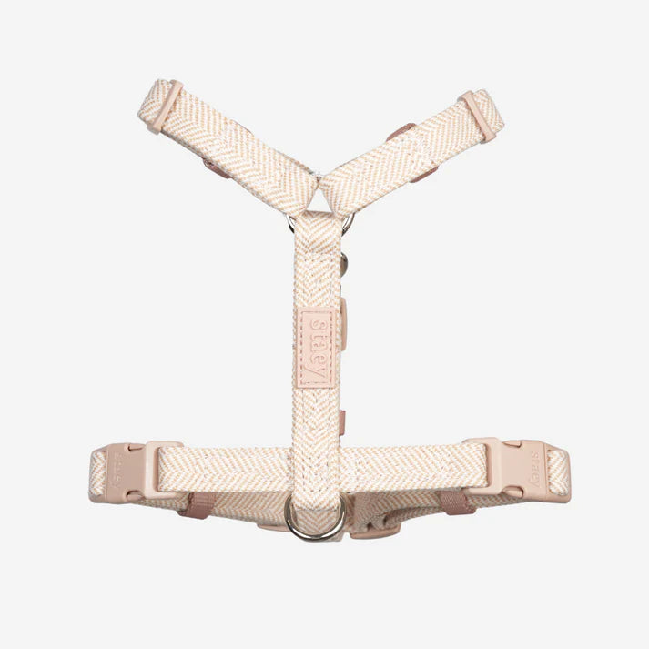 Tara H-Strap Dog Harness | Light Rose