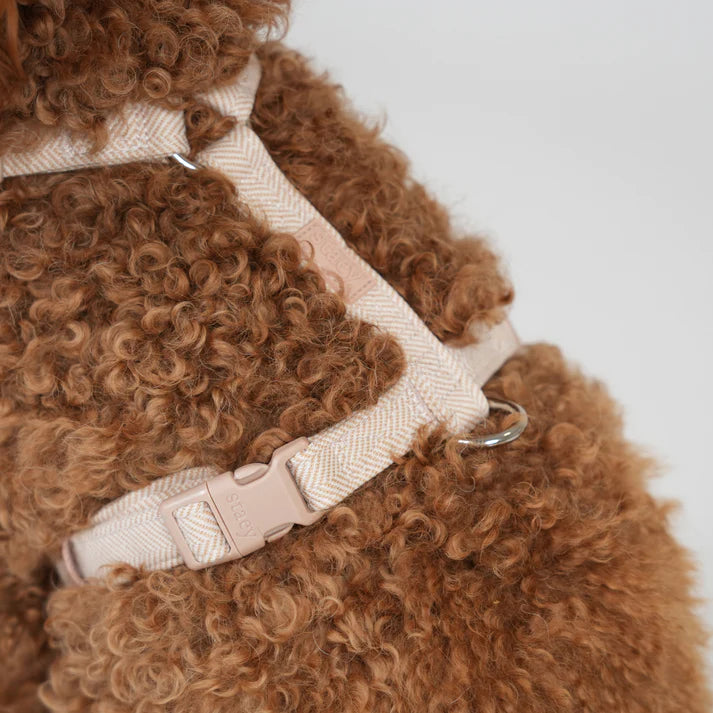 Tara H-Strap Dog Harness | Light Rose