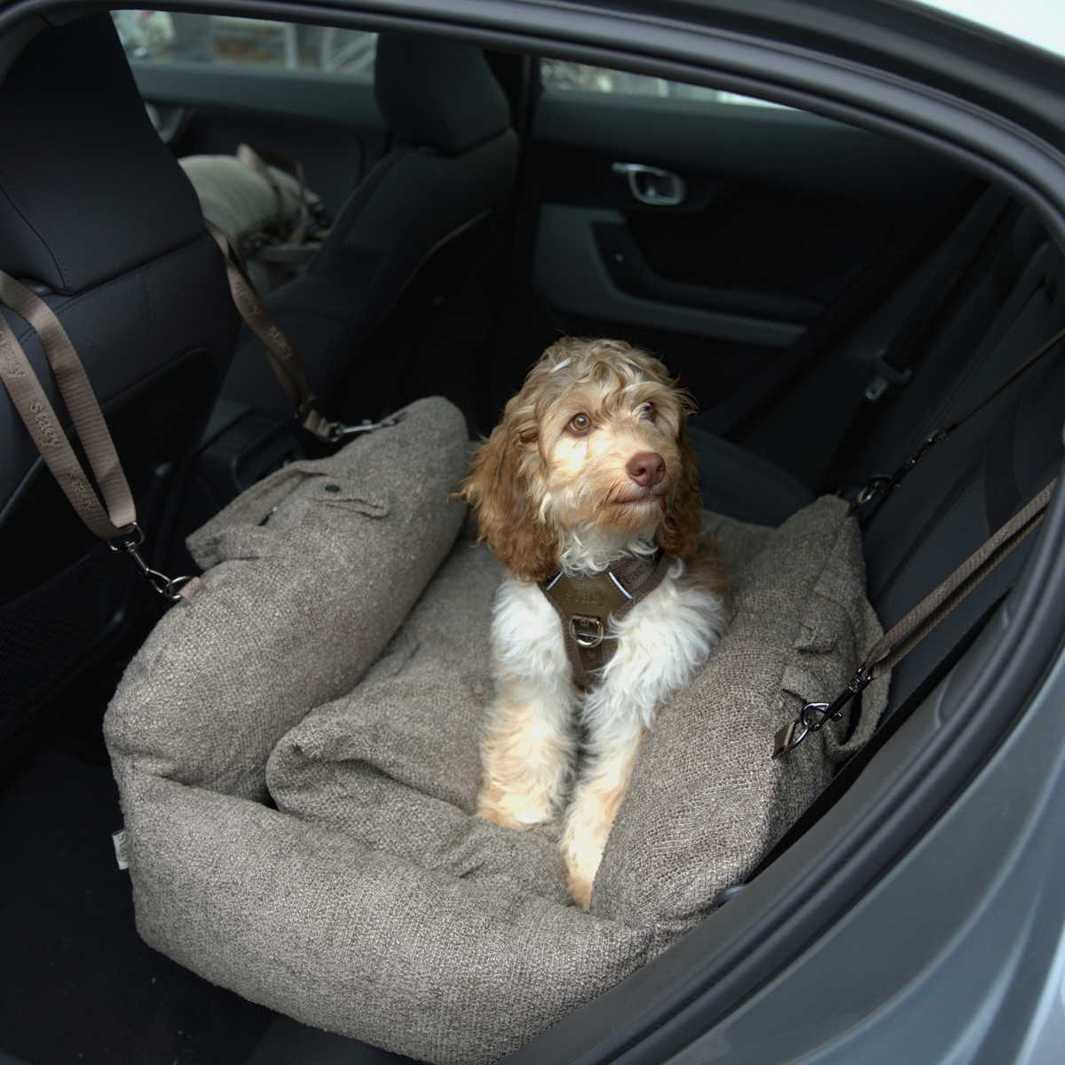 Tova 2-in-1 Autostoel XL | Chestnut Bouclé