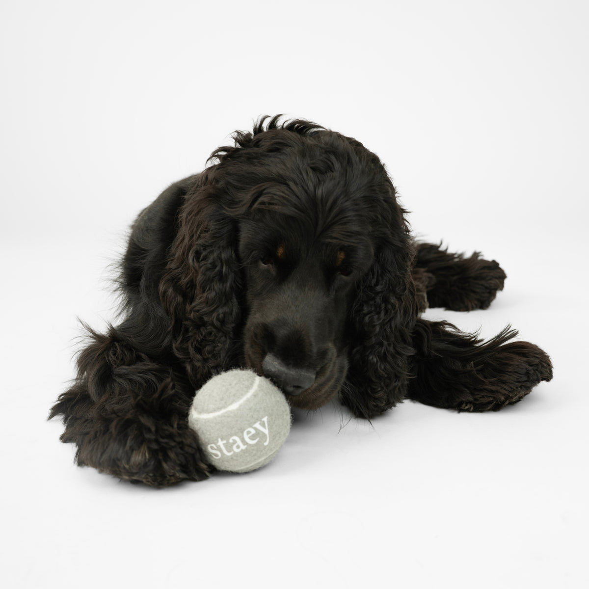 Piepend bal | 2-pack