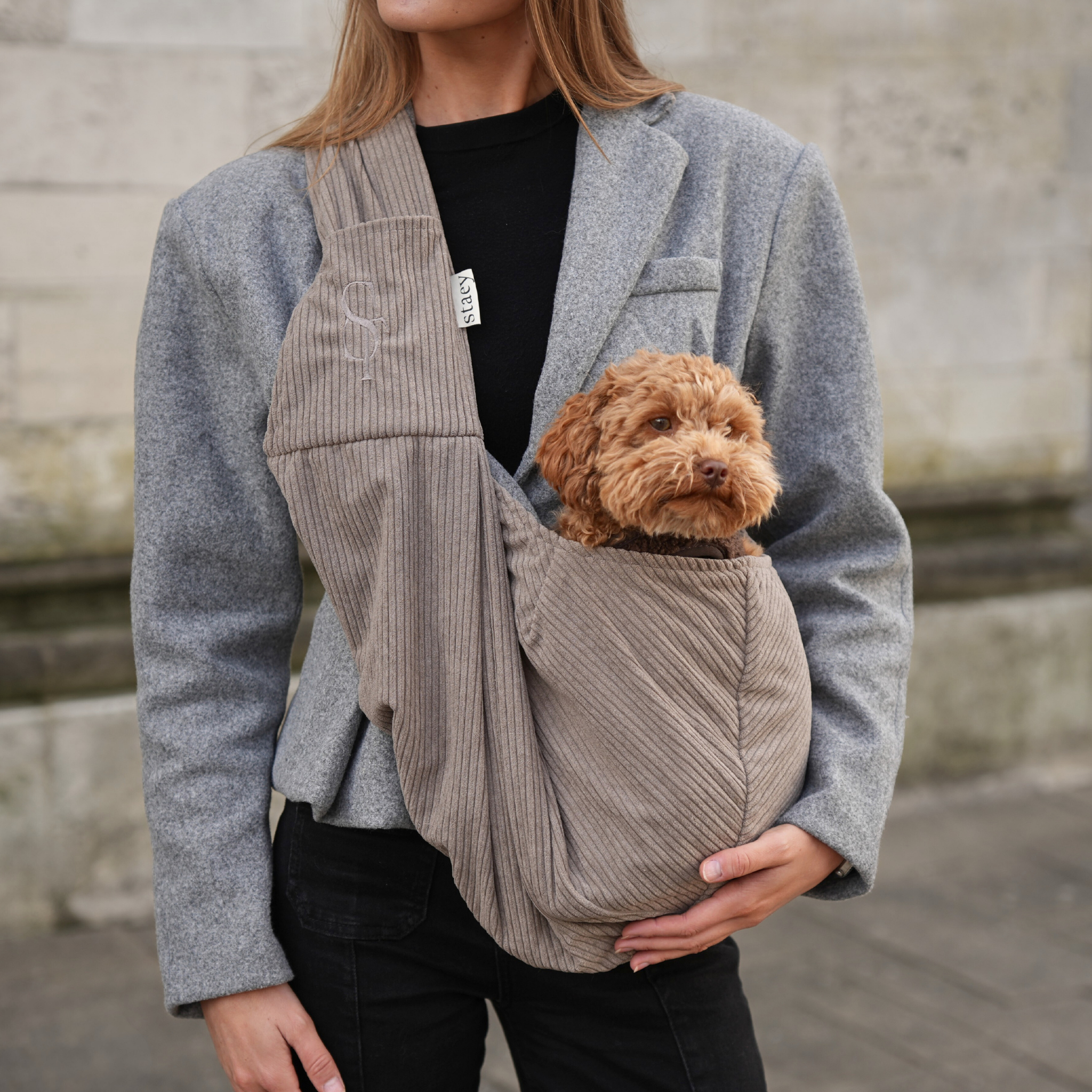 Dog Carrier Bag