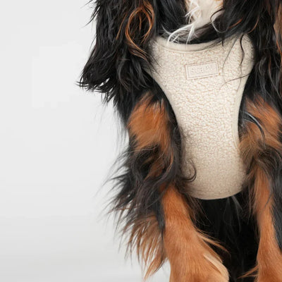 Zijaanzicht van het crèmekleurige Teddy-harnas bij een zwart-bruine spaniel