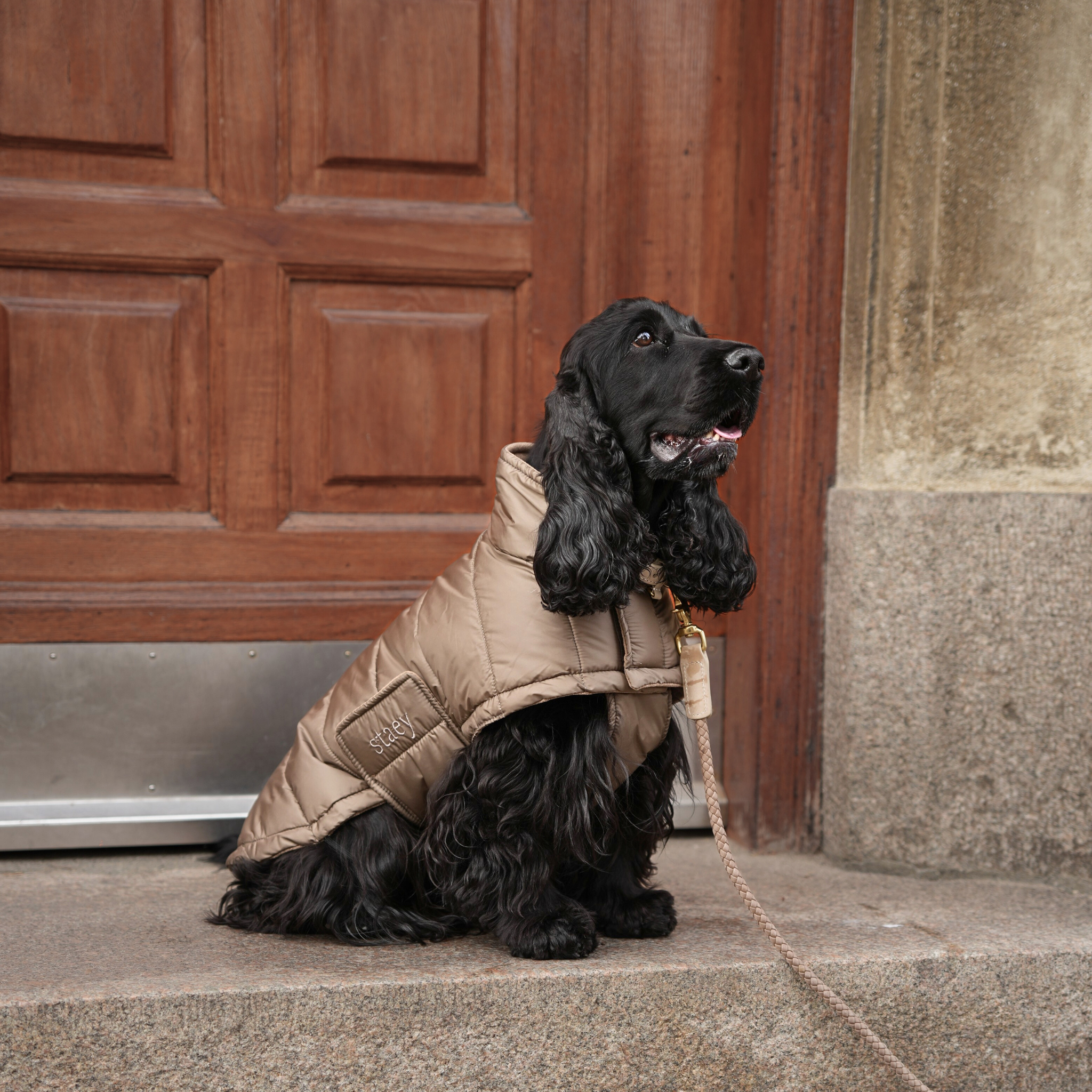 Nora Dog Coat | Taupe
