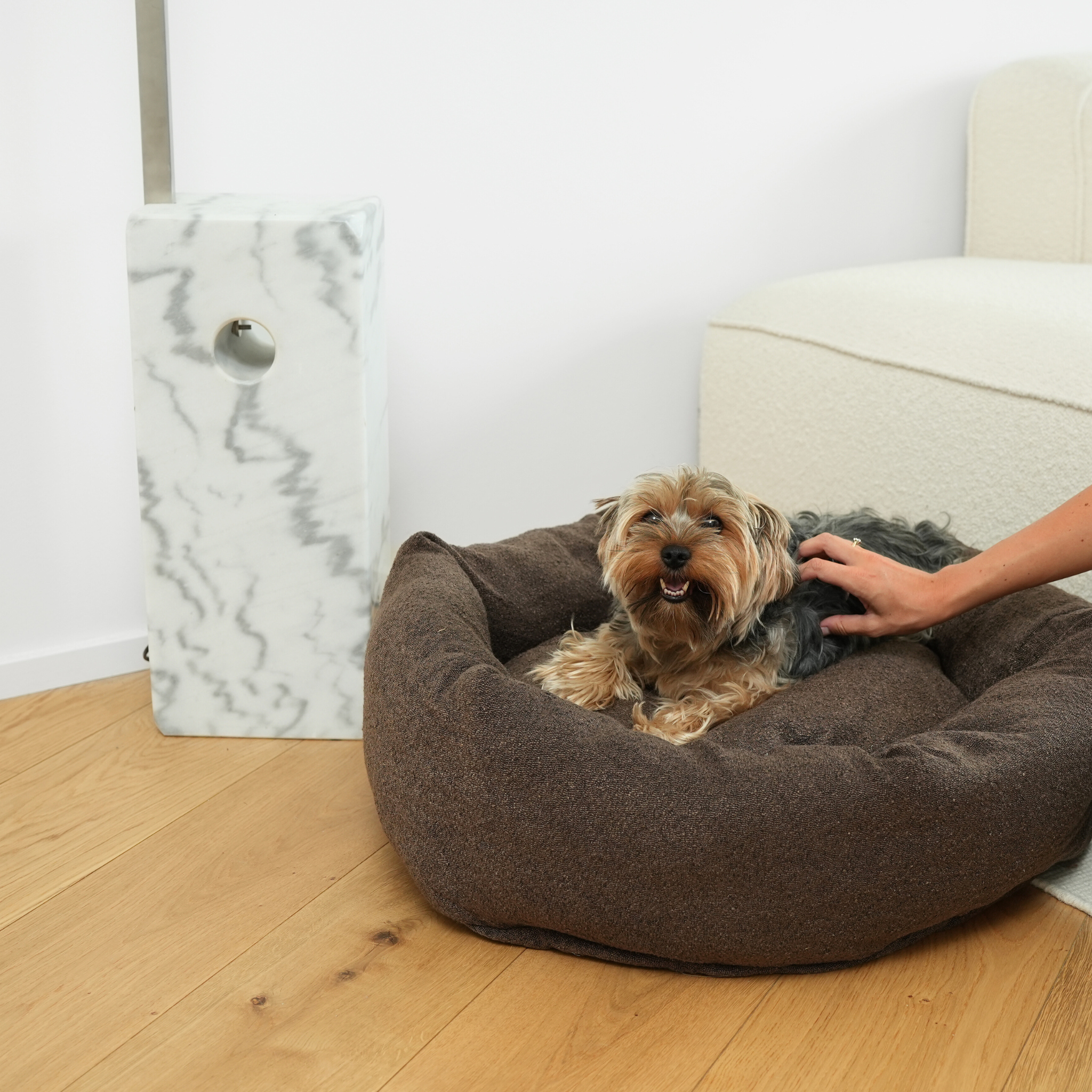 Luna hondenmand 3.0 | Chestnut Bouclé