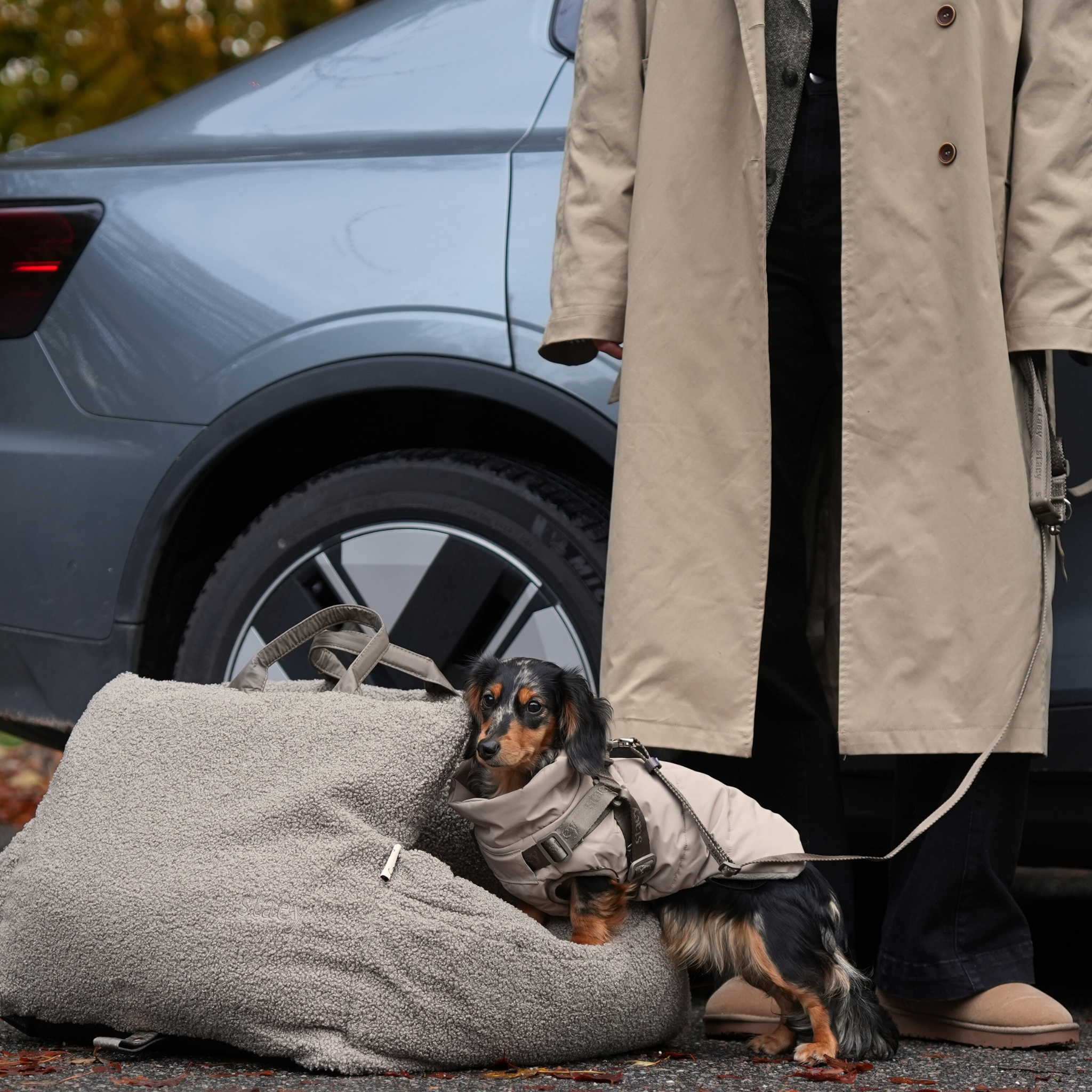 Vera hondenjas m. Harnas | Zand