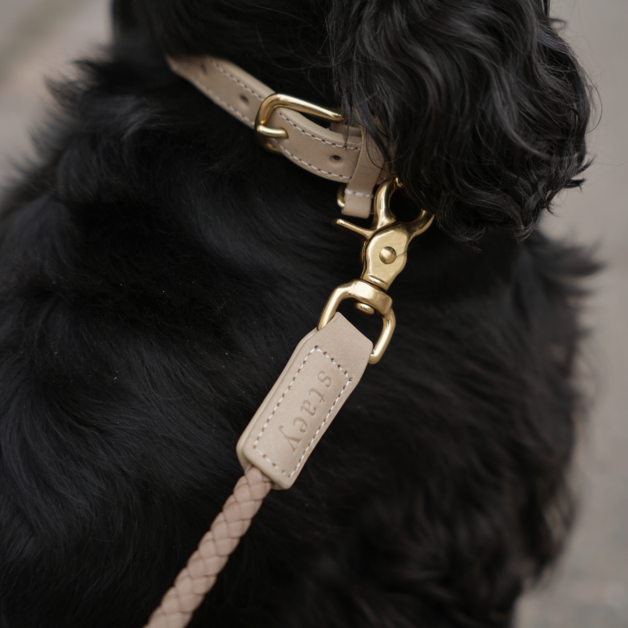 Kaia Braided Dog Collar | Taupe