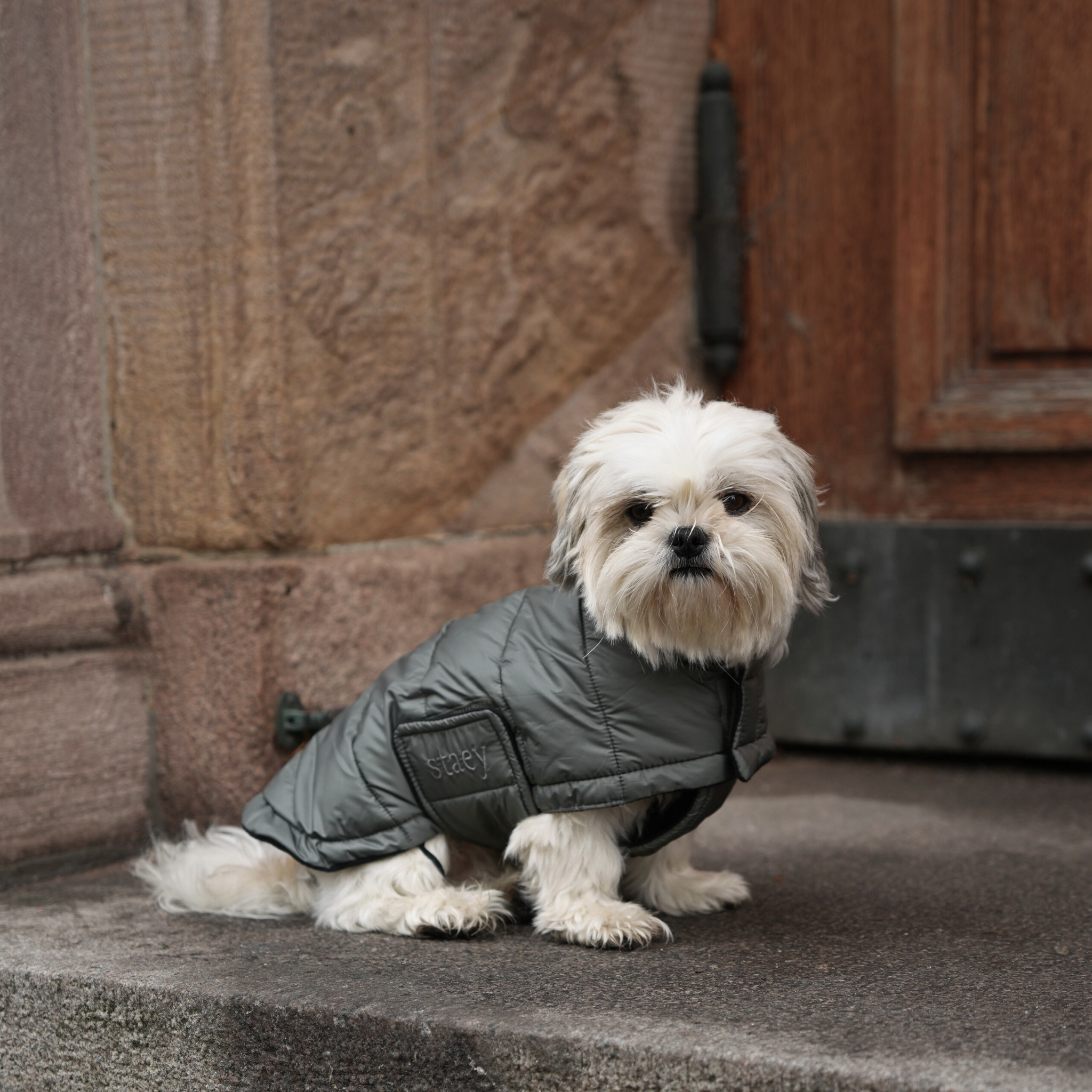Nora Dog Coat | Moss Green