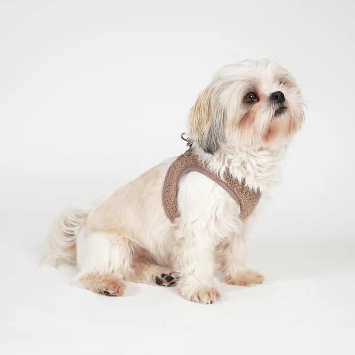 Teddy Step-In Dog Harness | Mocca