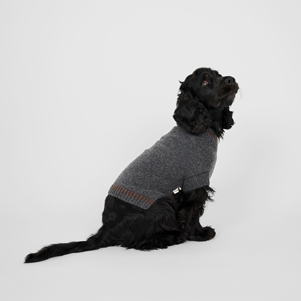 Ellen Dog Sweater | Storm/Espresso