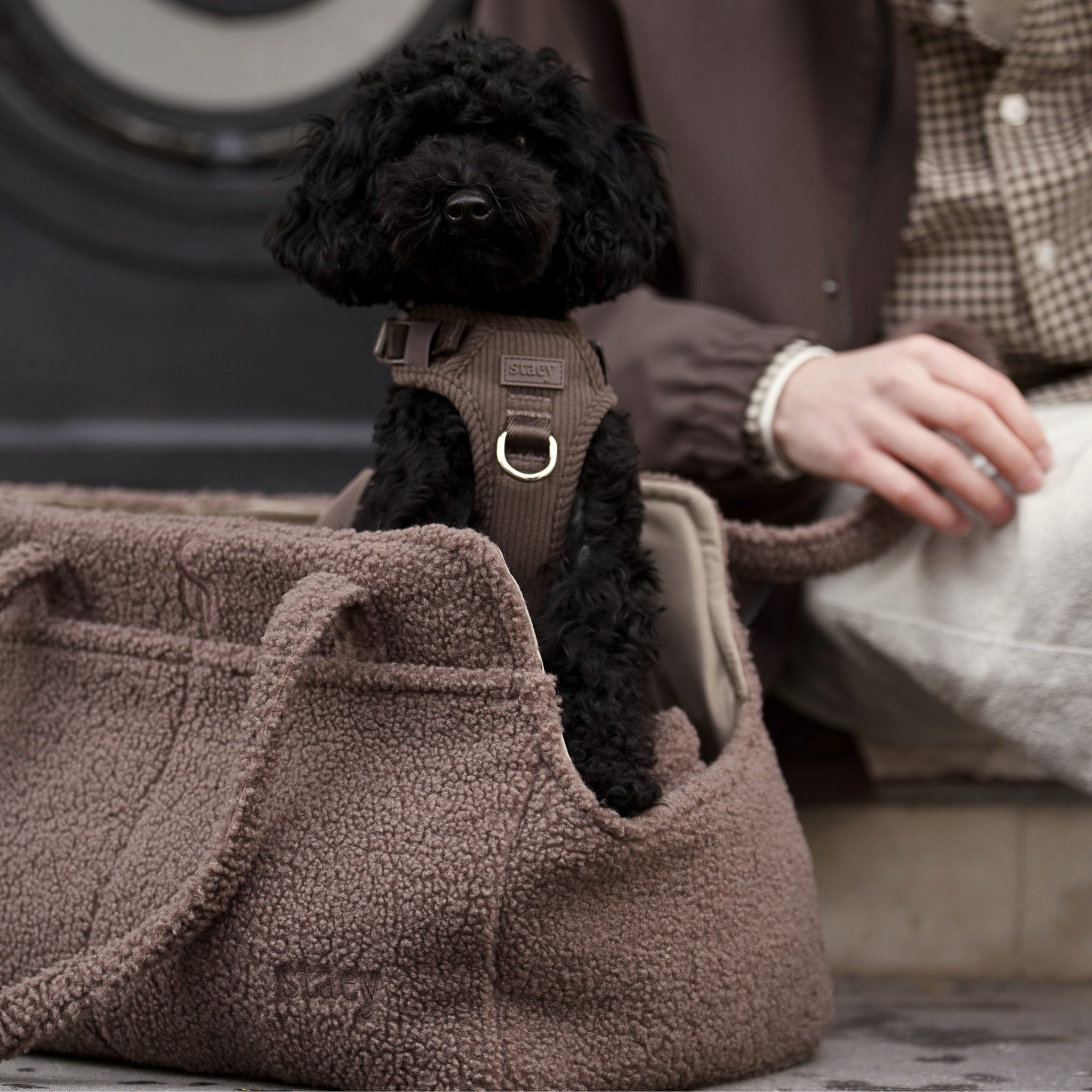 Clara-hondendraagtas | Limited Edition