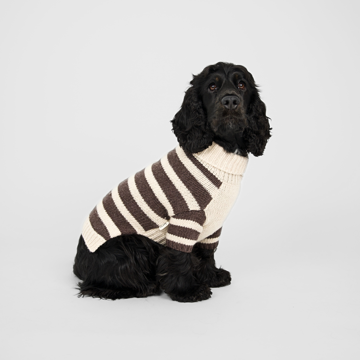 Liva Dog Sweater | Oat/Espresso