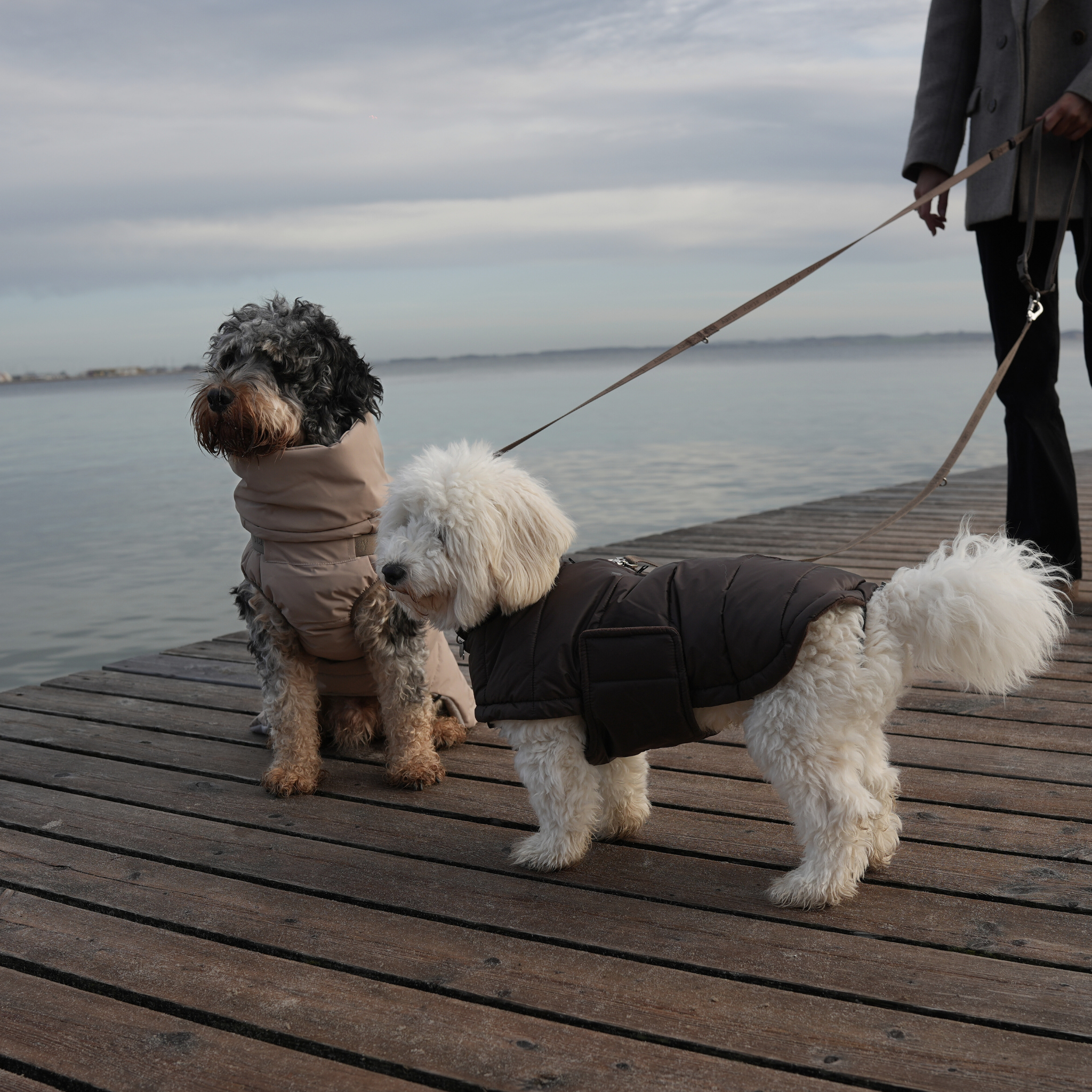 Nora Dog Coat | Espresso