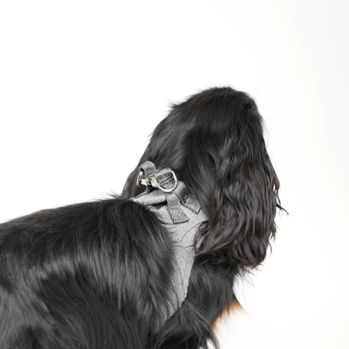 Saga Step-In Dog Harness | Dusty Blue