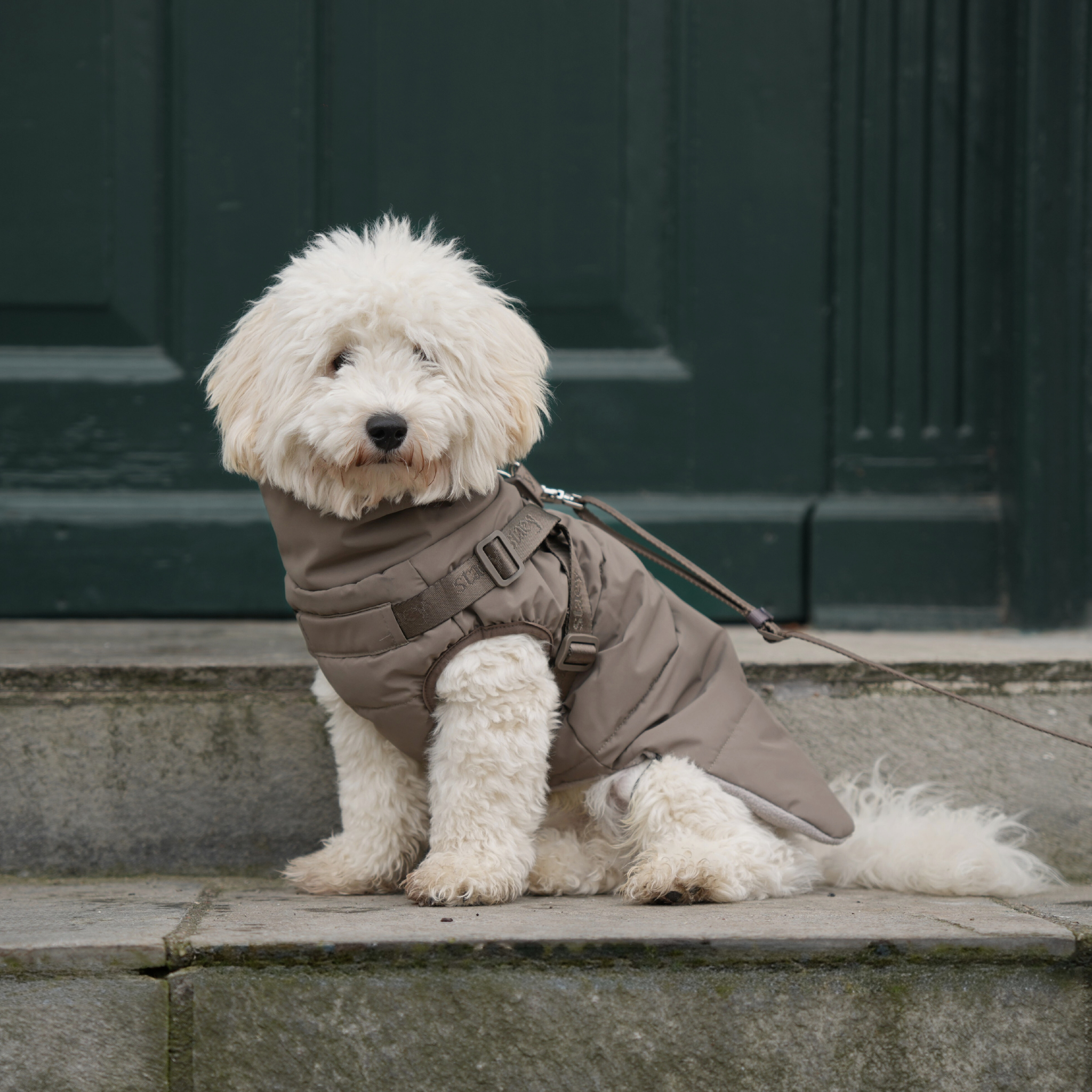 Vera Dog Coat w. Harness | Sage