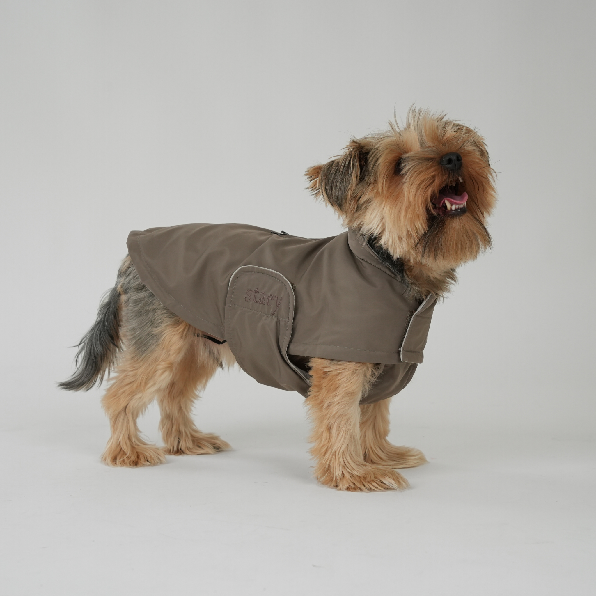 Vega Dog Raincoat | Taupe