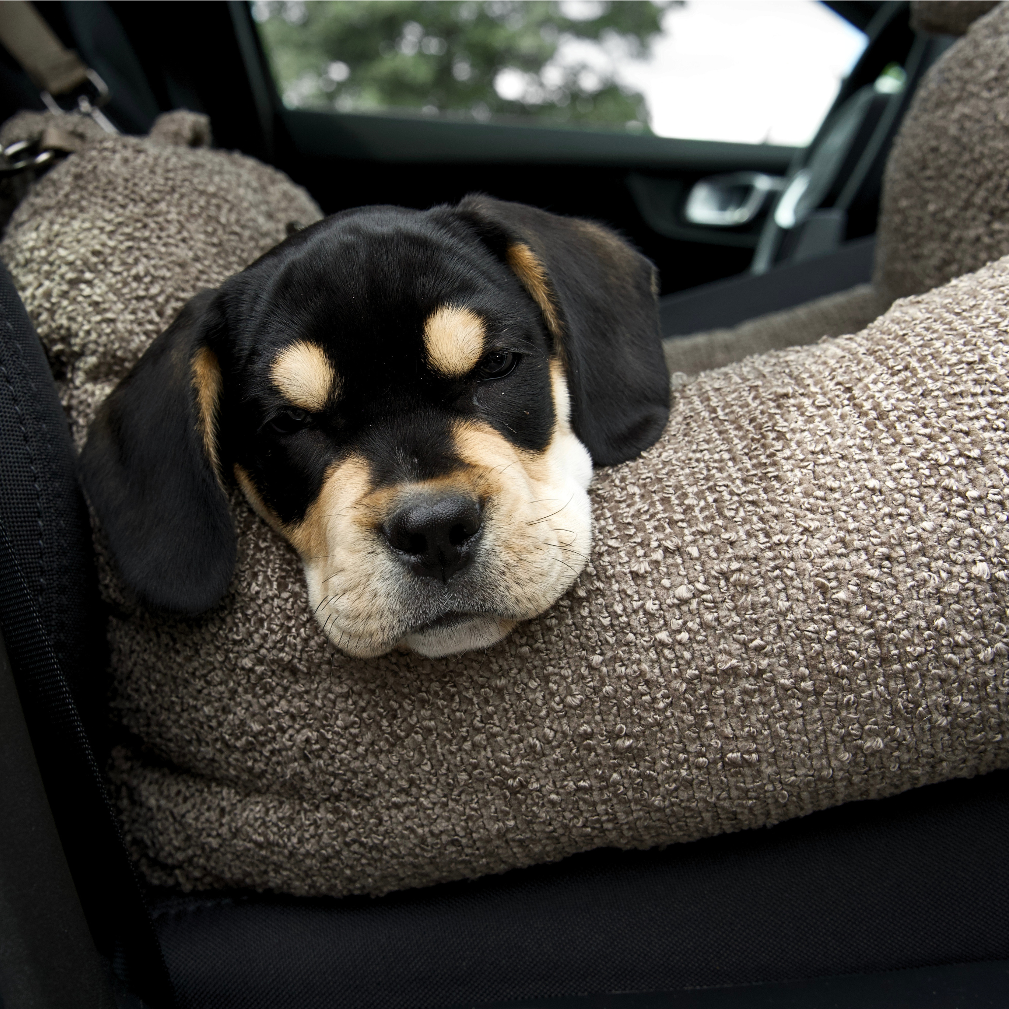Tova 2-in-1 Autostoel | Chestnut Bouclé