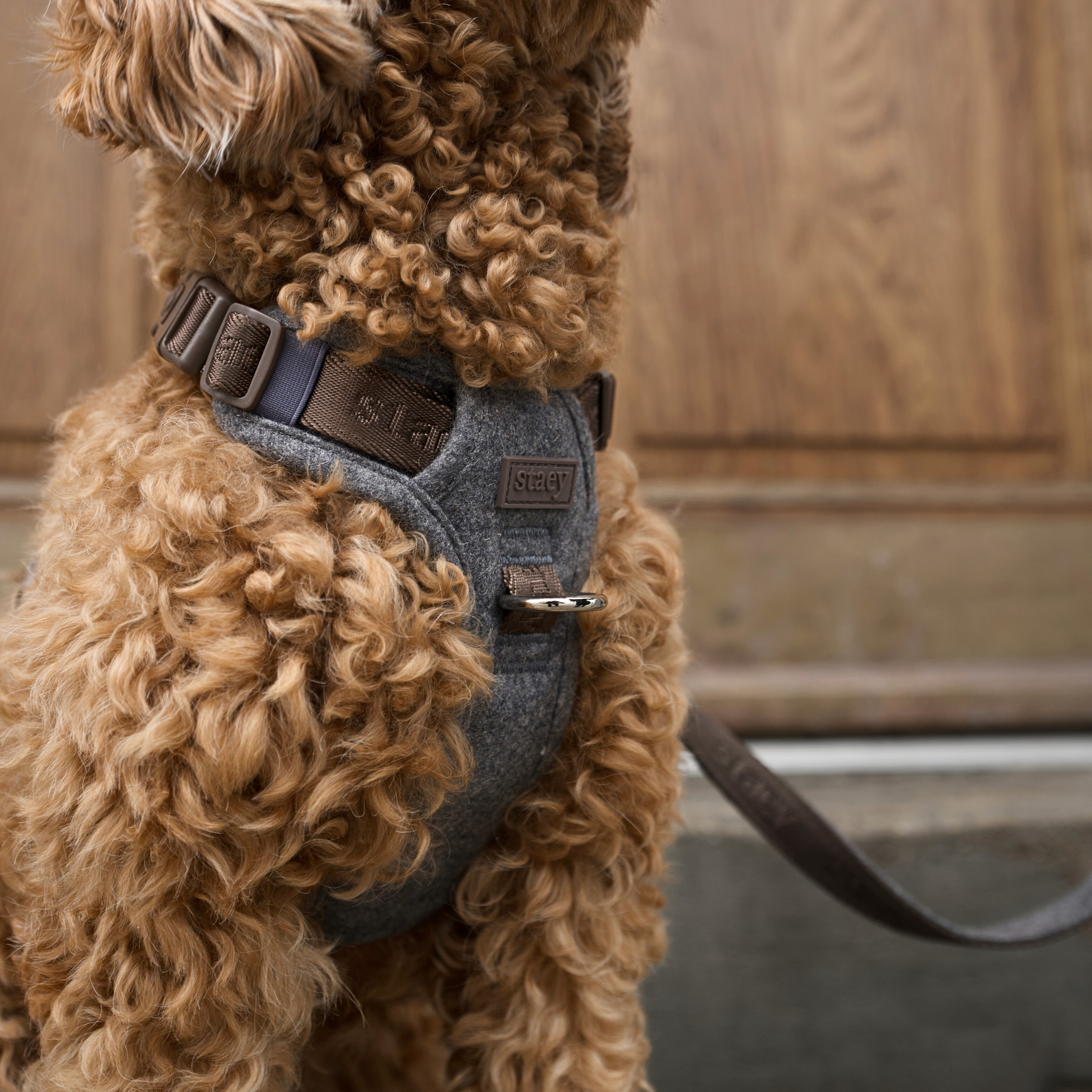 Elma Dog Harness | Stone