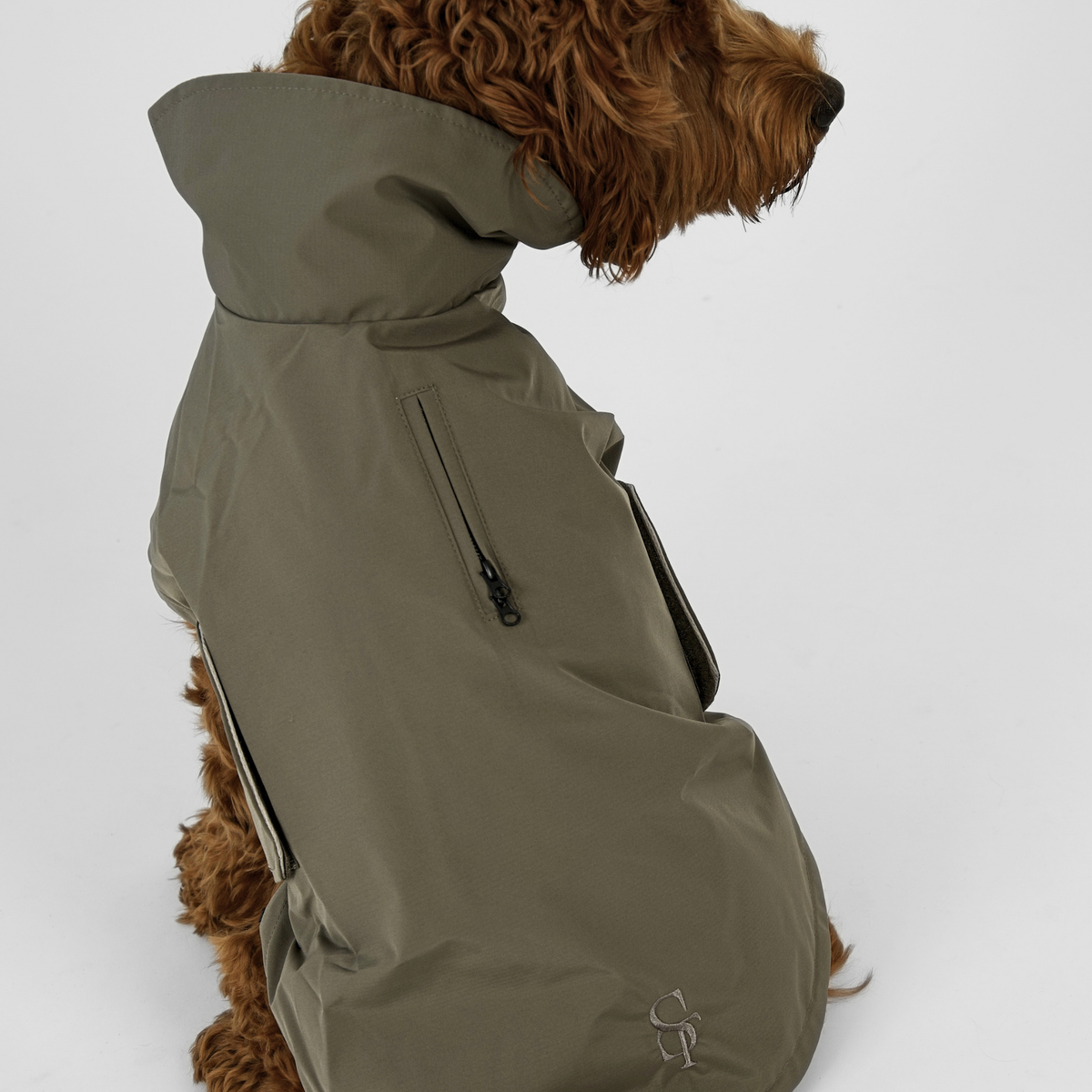 Een Cavapoo, van achteren gezien, in de moss green Taja-regenjas