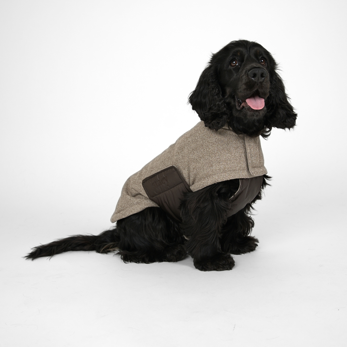 Nora Hondenjas | Herringbone Mocca