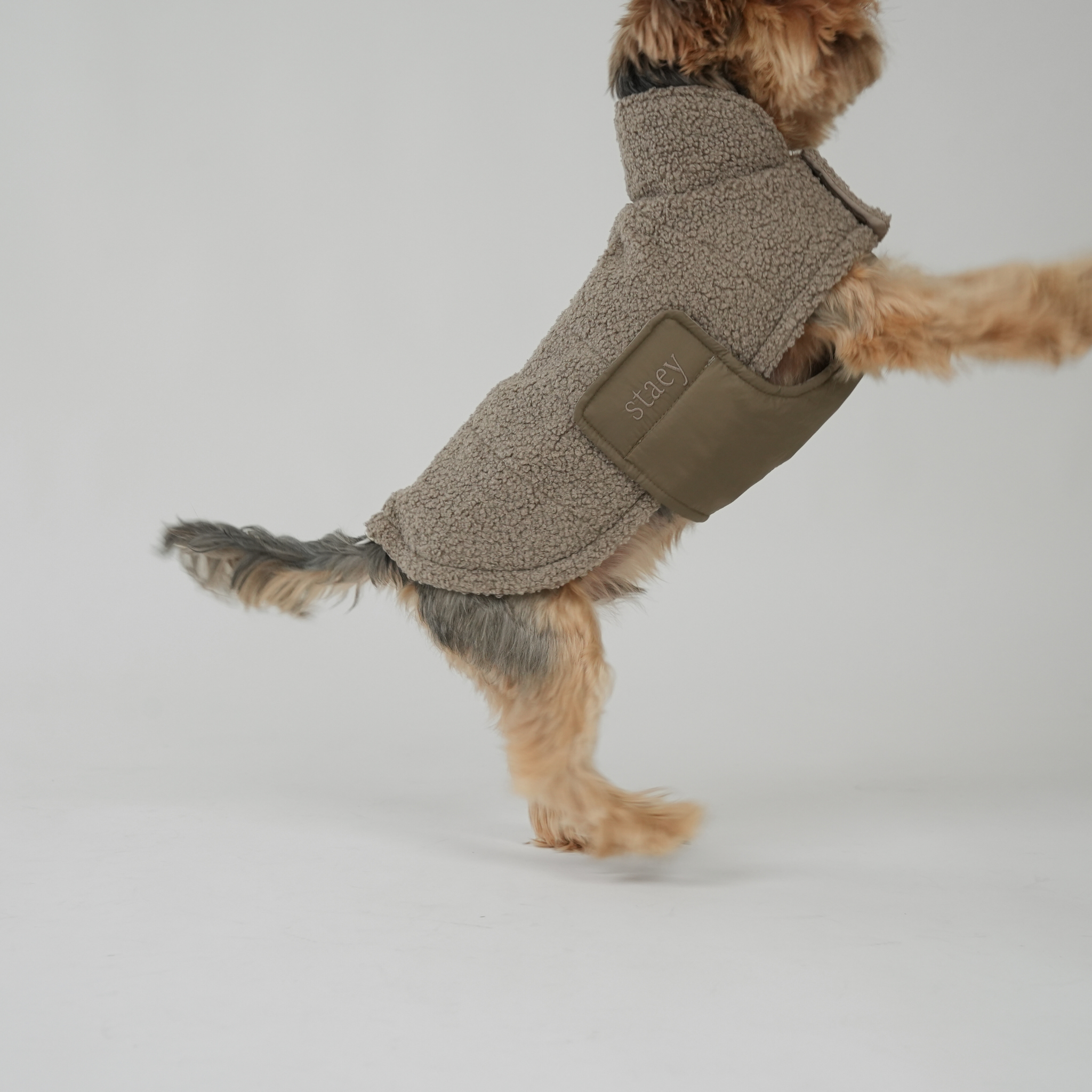 Teddy Dog Coat | Taupe