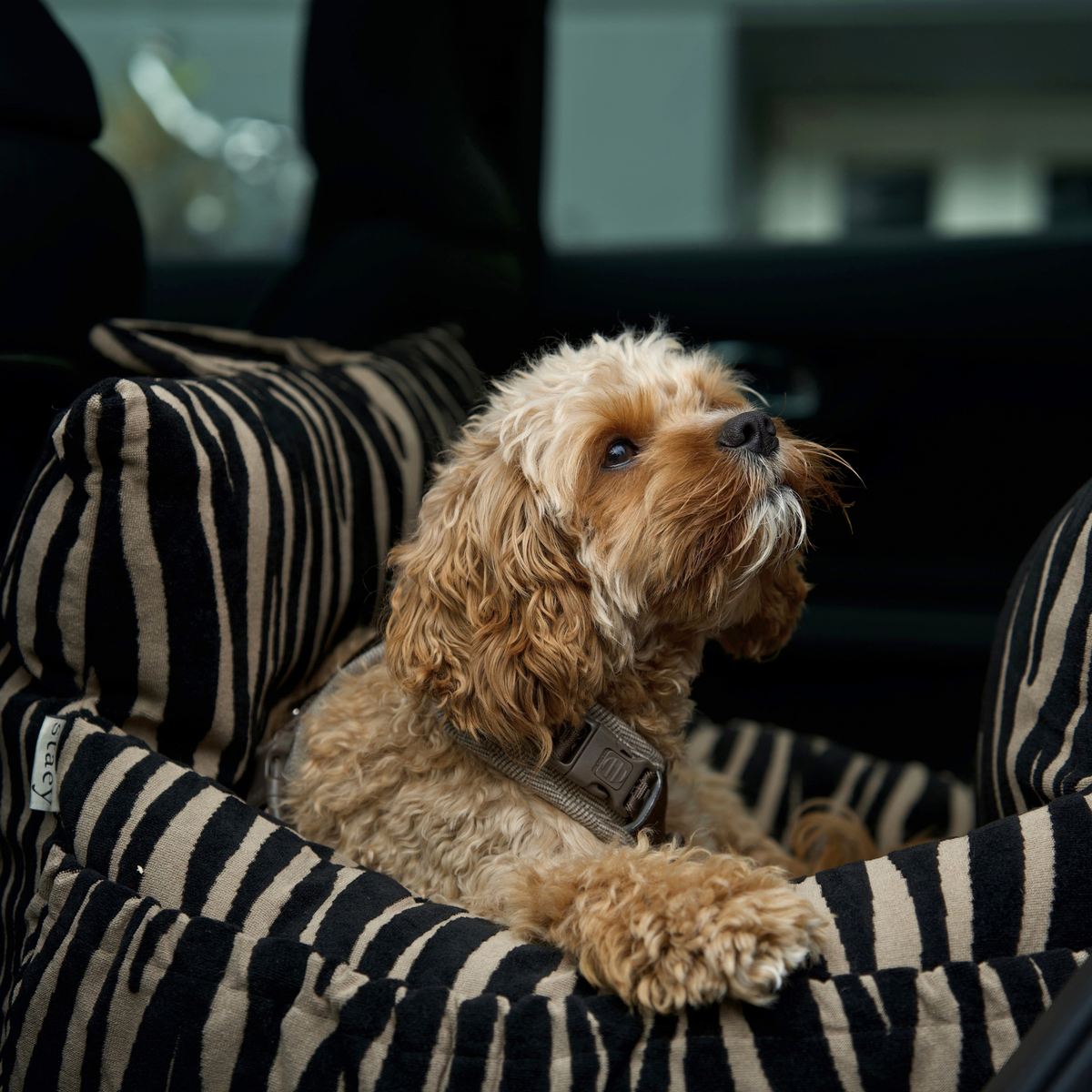 Lara Car Seat | Zebra 2.0