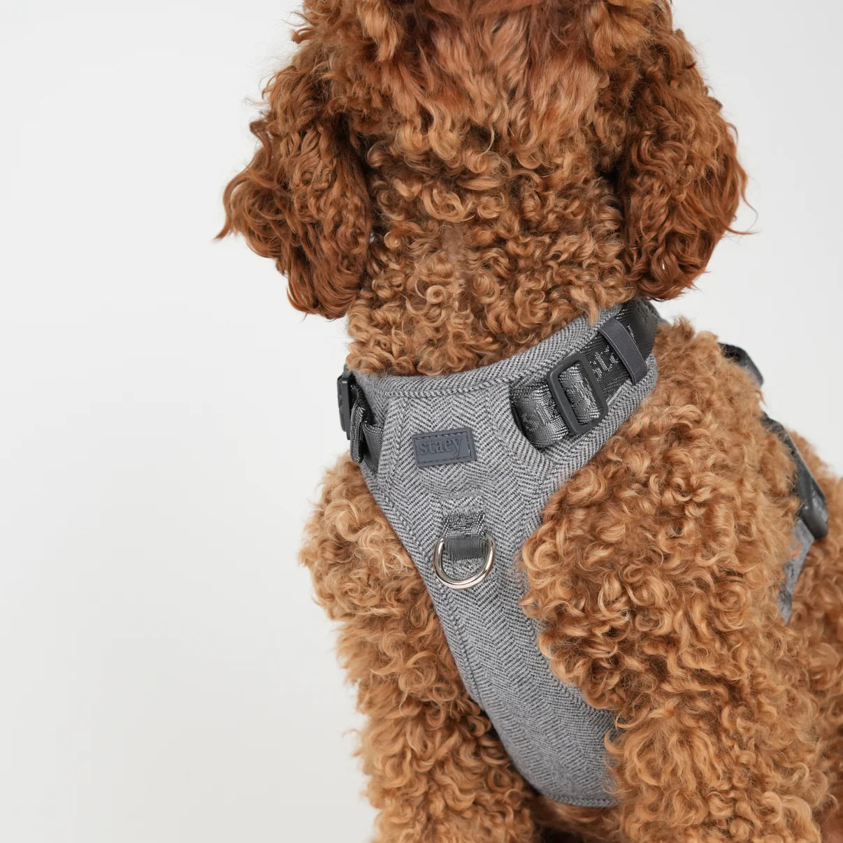 Elma Dog Harness | Dusty Blue