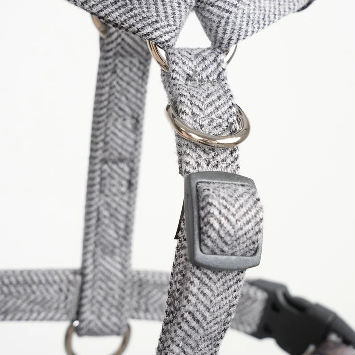 Waarom ik het heb ontworpen