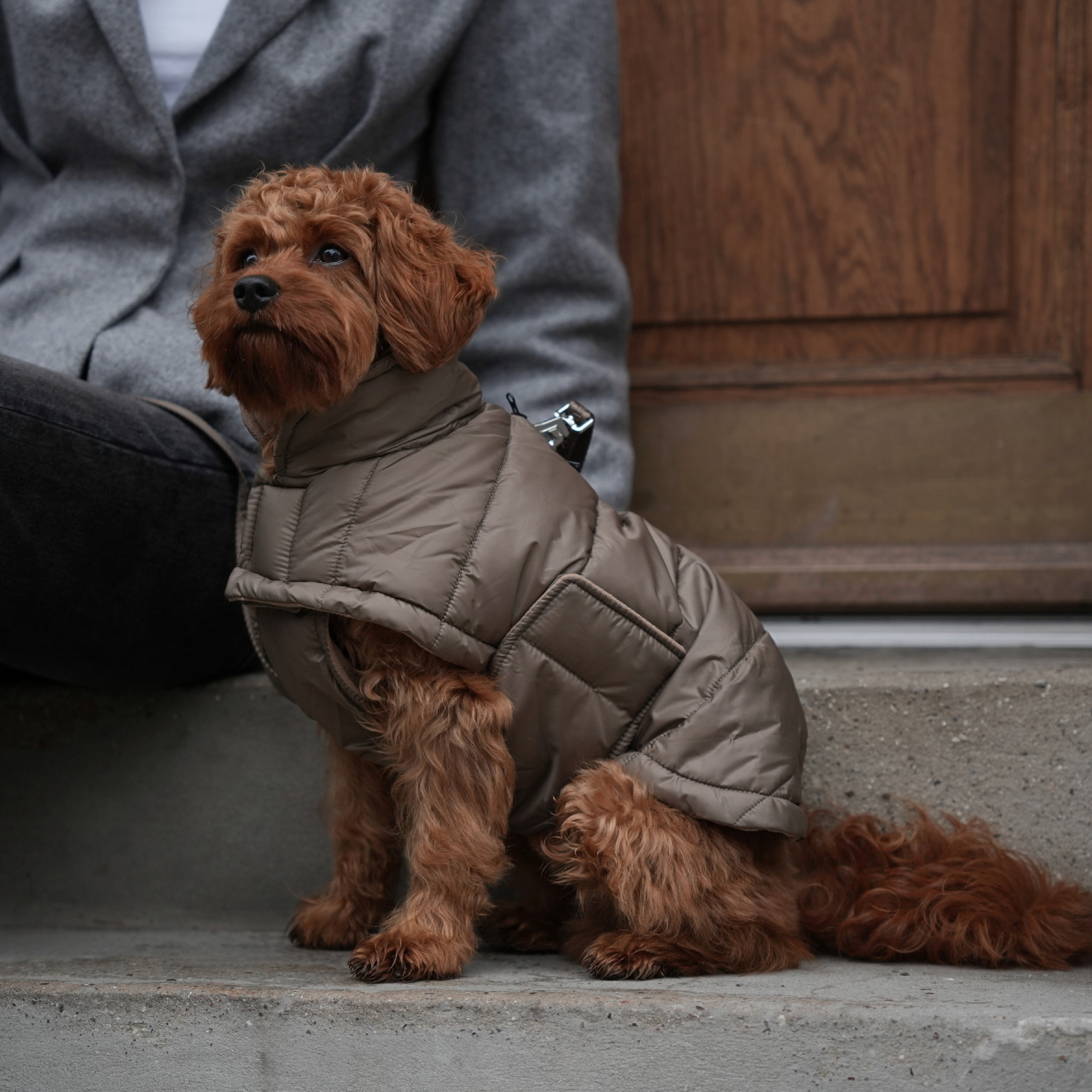 Nora Dog Coat | Taupe