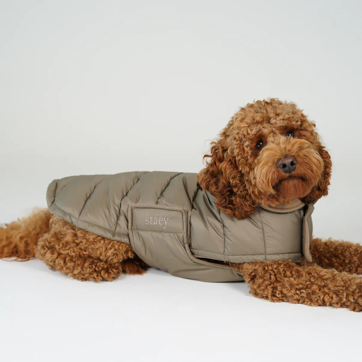 Nora Dog Coat | Taupe