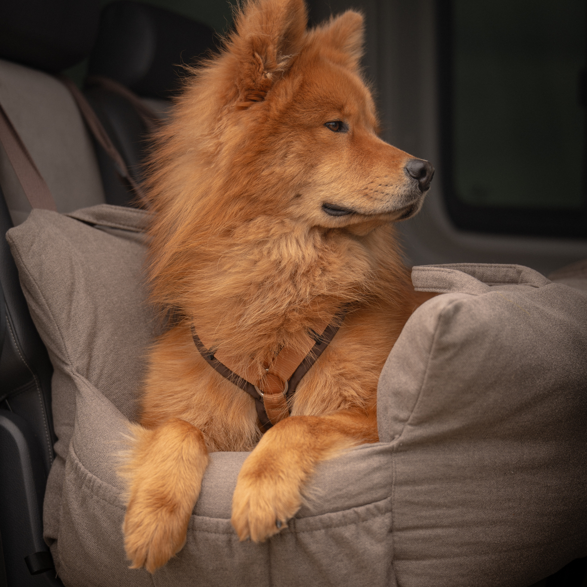 Lara autostoel voor Honden XXL | Taupe