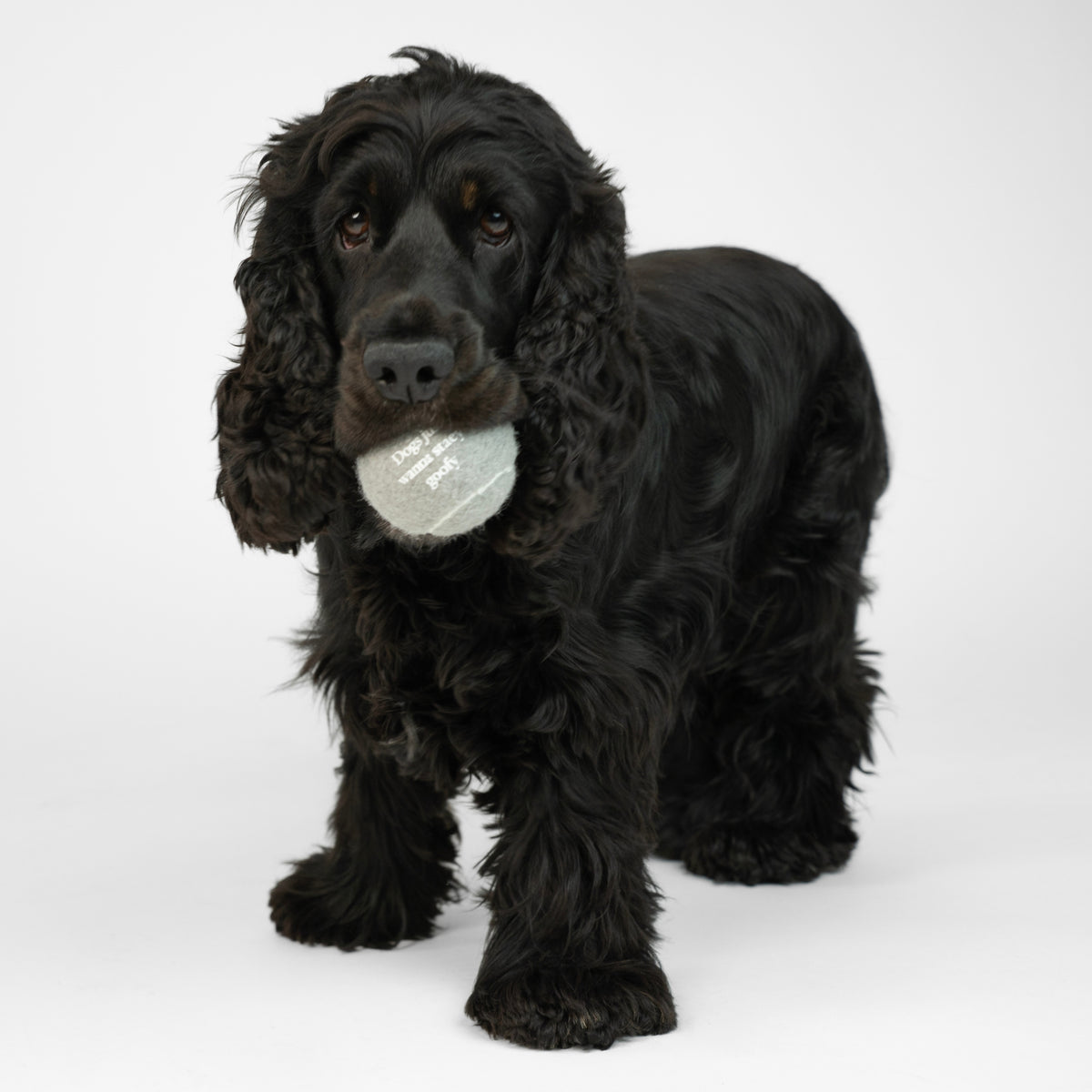 Piepend bal | 2-pack